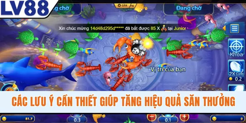 Các lưu ý cần thiết giúp tăng hiệu quả săn thưởng