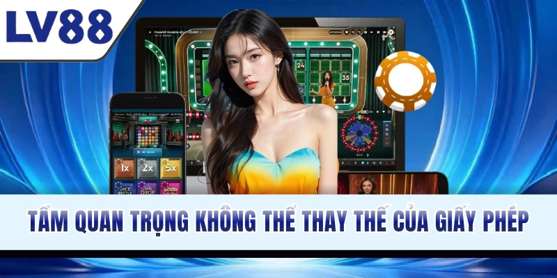 tam-quan-trong-khong-the-thay-the-cua-giay-phep