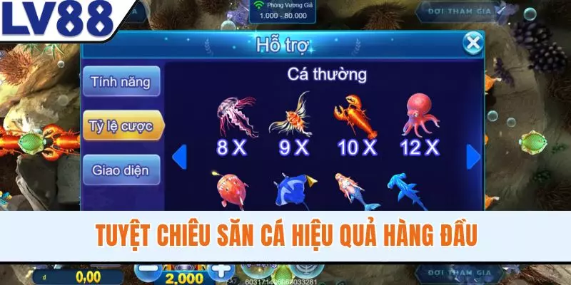 Tuyệt chiêu săn cá hiệu quả hàng đầu